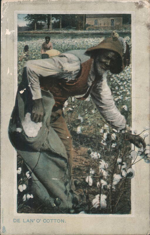 African American Cotton Pickers in Field, 'De Lan' O' Cotton'