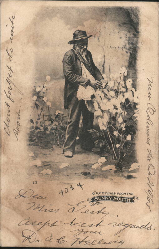 Black Man Picking Cotton Field, Greetings from the Sunny South