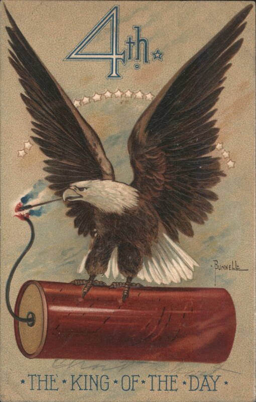 Bald Eagle on Firecracker, 4th of July, The King of the Day