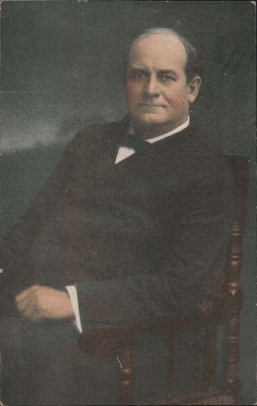 Man in Suit with Bow Tie, Formal Portrait Men