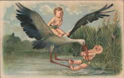 Comic Stork Delivering Babies, Dropping One in Water Postcard