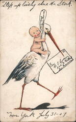 Stork Delivering Baby Thomas with "Step up lively there Mr. Stork" message Postcard