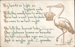 Stork Delivering Baby Boy Birth Announcement Poem, Brown Hair & Eyes, 7 Pounds Postcard
