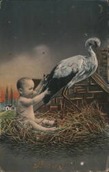 Stork Delivering Baby in Nest with 'It is a girl!' Message Postcard