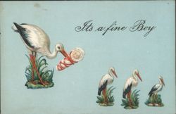 Stork Delivering Baby, It's a Fine Boy, New Baby Announcement Postcard