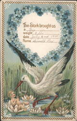 Stork Delivering Baby Boy Ronald Rex, July 2, 1911 Postcard