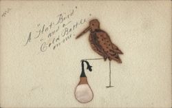 Whimsical Bird Drawing: A 'Hot Bird' and a Cold Bottle Postcard