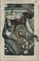 African American Cotton Pickers in Field, 'De Lan' O' Cotton' Postcard