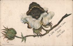 A Little Alabama Coon from Dixie Land Postcard