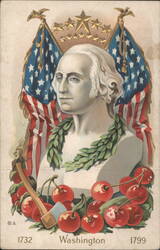 George Washington with Flags, Wreath, Axe, and Cherries Postcard