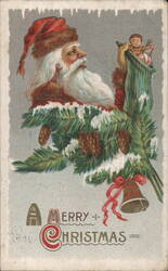 Santa Claus with Child in Stocking, Christmas Tree Branch Postcard