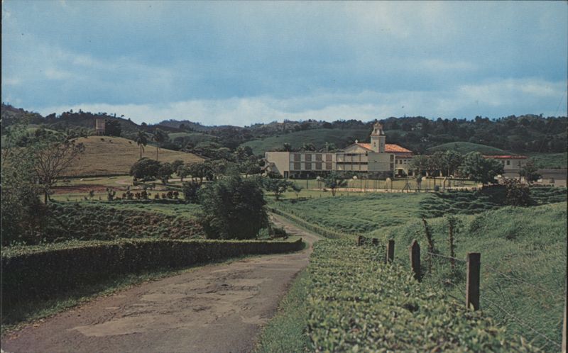 San Antonio College, Humacao Puerto Rico Santacana