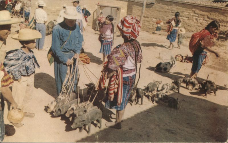 Guatemala Market Scene, People with Pigs & Chickens