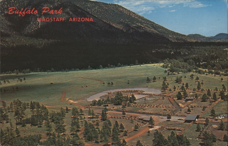 Buffalo Park, Flagstaff, Arizona Bob Petley