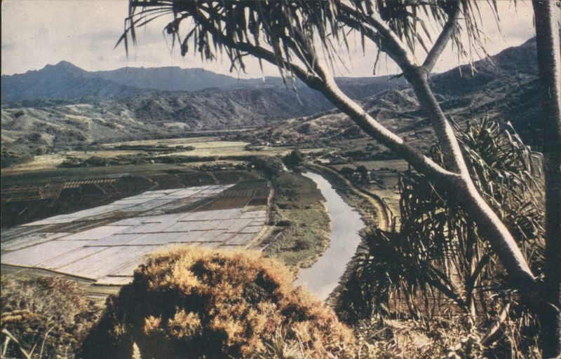 Honalei Valley Kauai Hawaii Mike Roberts
