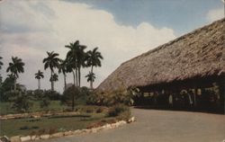 Rancho Luna Restaurant, Thatched Roof, Cuba Postcard
