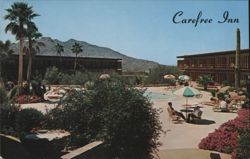 Carefree Inn, Pool, Desert Botanical Display Postcard