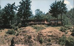 Paradise Lodge Postcard