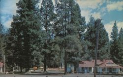 Fort Creek Resort & Cafe, Ideal Vacation Spot In The Pines Postcard