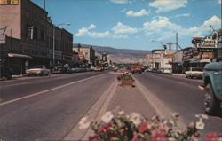 Business Section, Delta, Colorado Postcard