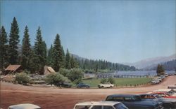 View of Hume Lake Postcard
