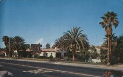 Coronado Motor Hotel Yuma AZ - US 80 - Palm Trees Postcard