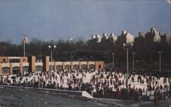 Wollman Memorial Skating Rink, Central Park Postcard