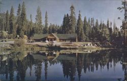 Silver Tip Lodge Postcard