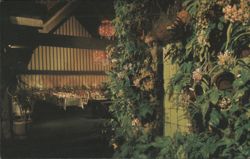 Canlis' Restaurant, Honolulu, Hawaiian-Modern Interior Postcard