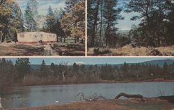 Ponderosa Sky Ranch Subdivision, Tehama County, CA Postcard