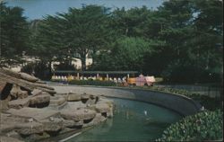 Elephant Train Ride, San Francisco Zoo Postcard