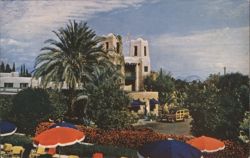 Jokake Inn, Phoenix, AZ - Desert Oasis with Palm Trees Postcard