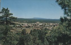 Northern Arizona University Campus View, Flagstaff Postcard