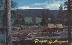 Lumber Mill, Ponderosa Pine Forest, Flagstaff Postcard