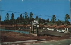 The New Skyline Motel - Flagstaff, AZ - San Francisco Peaks Postcard