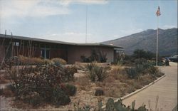 Visitors Center, Saguaro National Monument Postcard