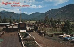 Buffalo Park Entrance, Flagstaff, Arizona Postcard