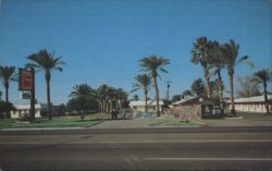 Chandler Inn - Motel, Pool, Palm Trees, Chandler, AZ Postcard
