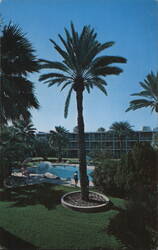 Los Olivos Lodge Hotel Pool Area, Phoenix Postcard