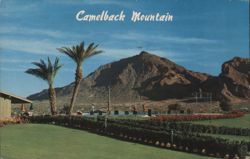 Camelback Mountain, Paradise Country Club Resort Area Postcard