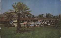 Arizona Manor and Bungalow Apartments Pool Area Postcard