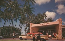 Waikiki Aquarium Front Entrance, Mackenzie Tours Car Postcard