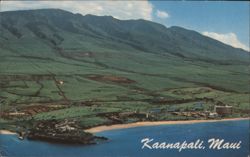 Kaanapali Beach Resort, Maui with Sugar Cane Fields Postcard