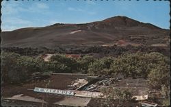 Kapoho Cinder Cone, 1960 Volcano Destruction Postcard