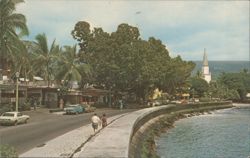 World Famous Alii Drive Postcard