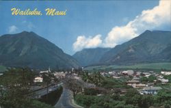 Scenic View Postcard