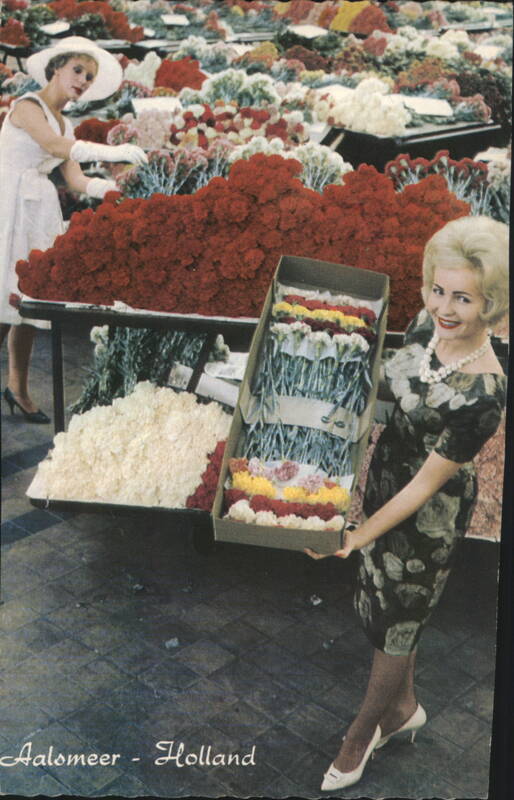 Aalsmeer Holland Interior Flower Auction with Women Netherlands
