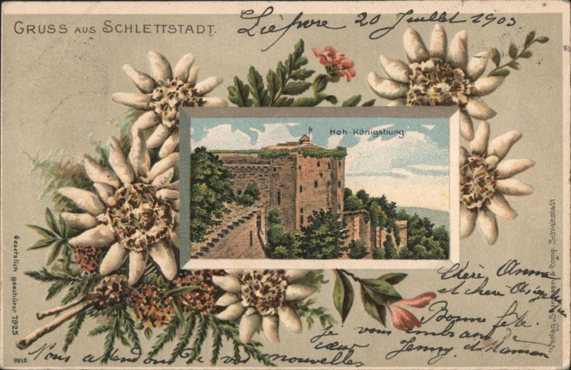 Hoh-Königsburg Castle with Edelweiss, Schlettstadt France