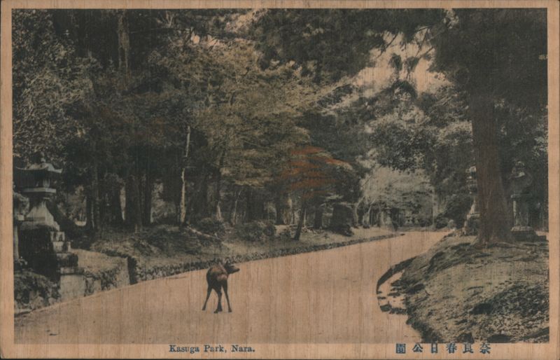 Deer on Path in Kasuga Park, Nara Japan