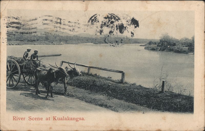 River Scene with Bullock Cart, Kualakangsa Malaysia